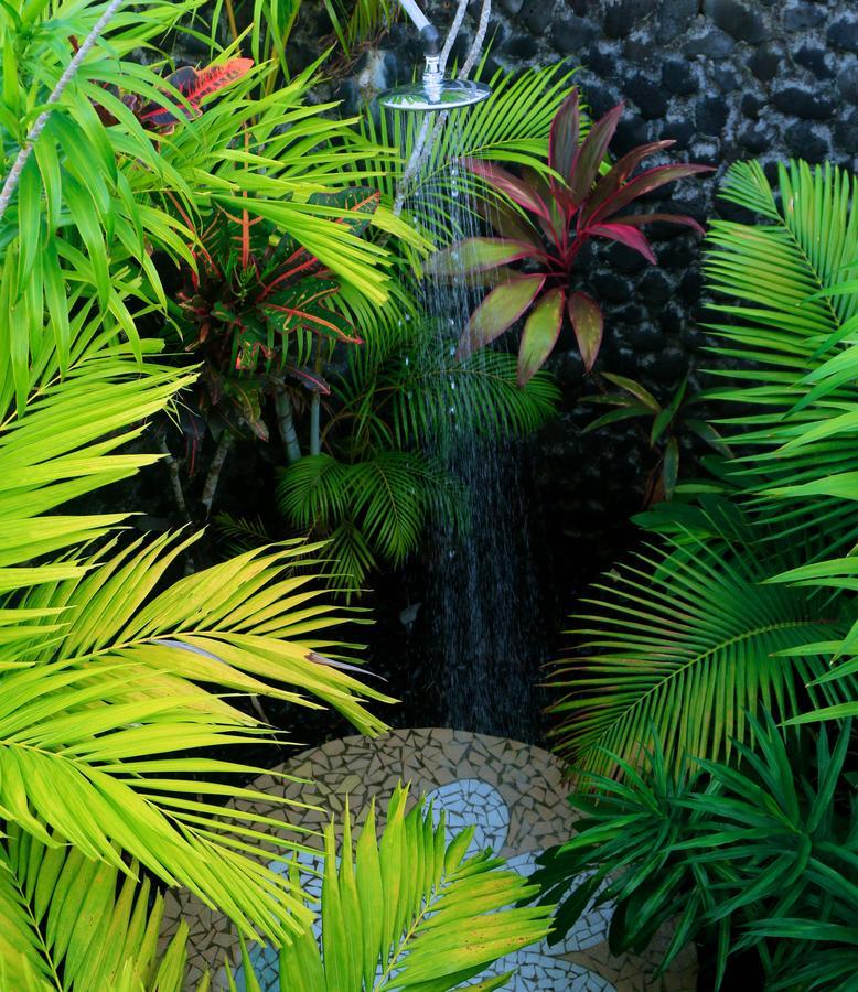 Amoa Resort Savaii Tuasivi 部屋 写真